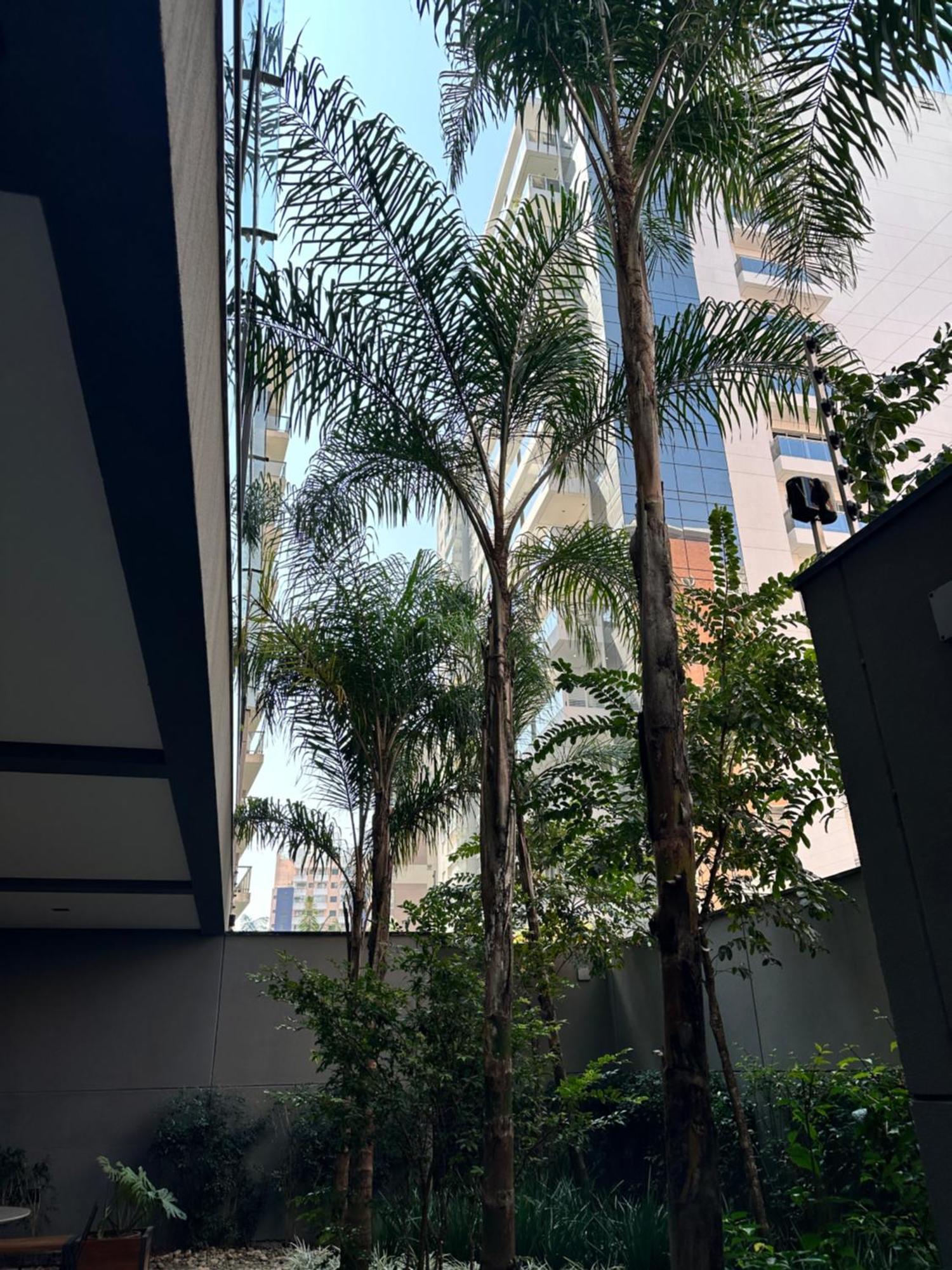 Ap102 Prox Paulista Com Varanda Retiro Urbano サンパウロ エクステリア 写真